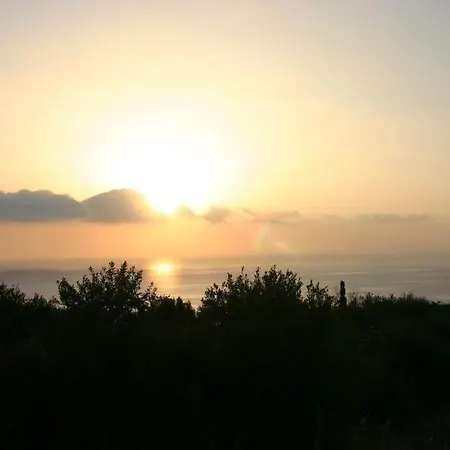 Charming Vέα φτερά On A Beautifull Spot