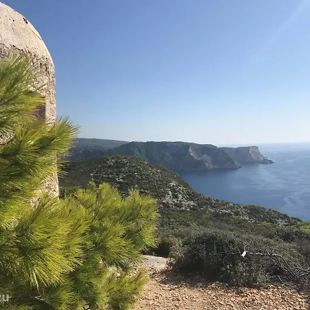 Charming Vέα φτερά On A Beautifull Spot
