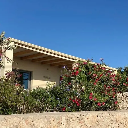 Charming Vέα φτερά On A Beautifull Spot